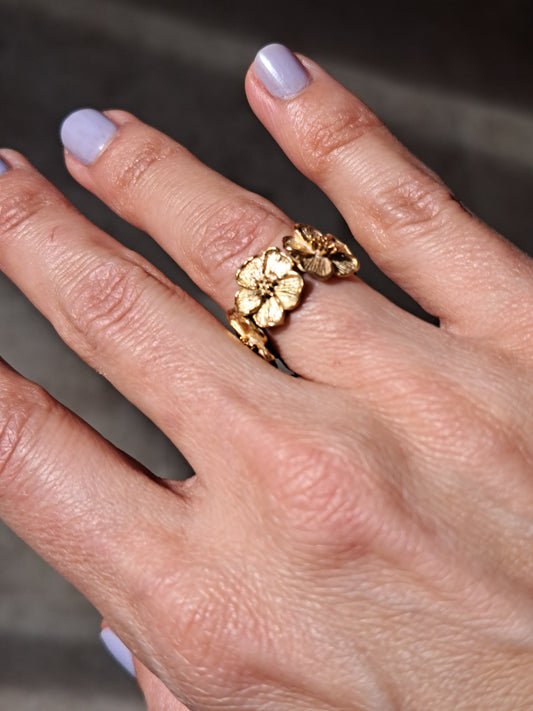 Anel floritas