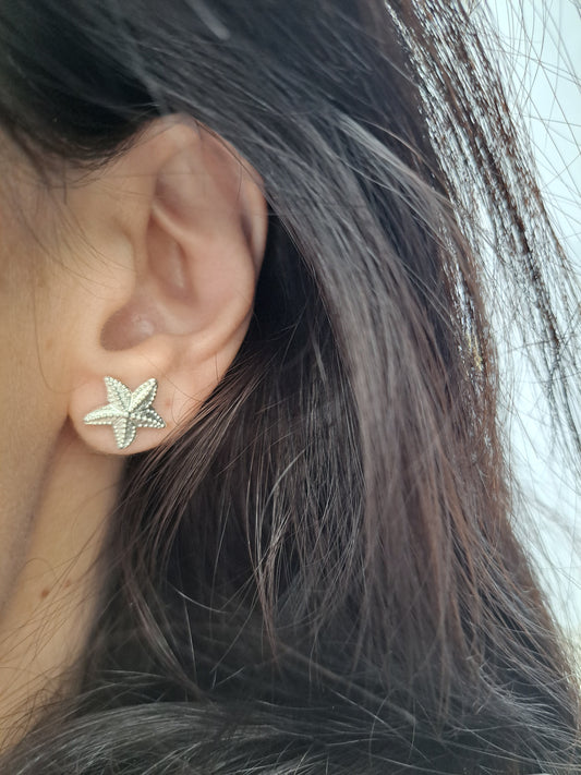 Brincos estrela-do-mar