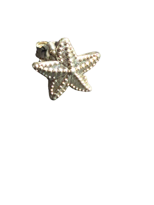 Brincos estrela-do-mar