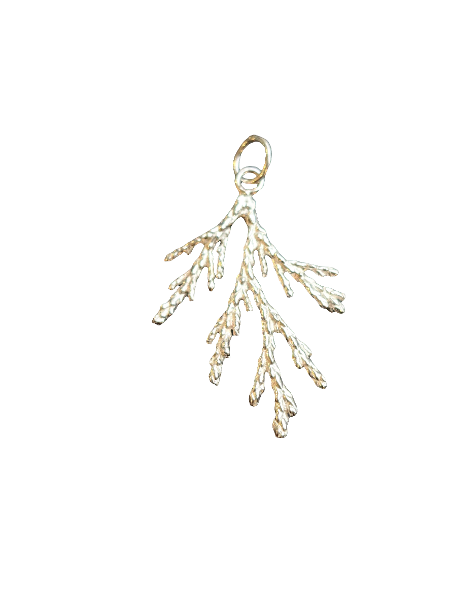 Pendente Casuarina
